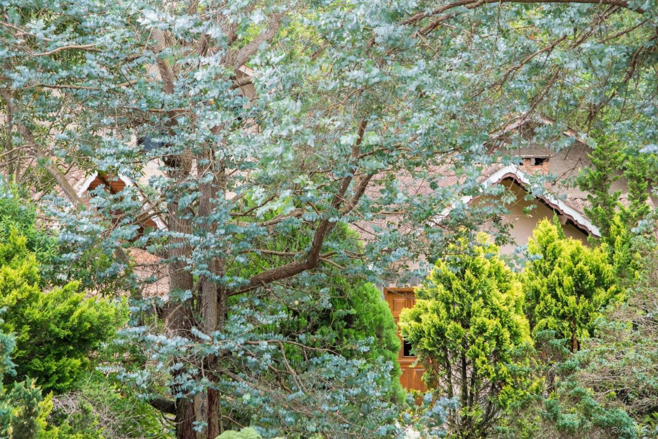 Pousada Ricanto Amore Mio Monte Verde  Exterior photo