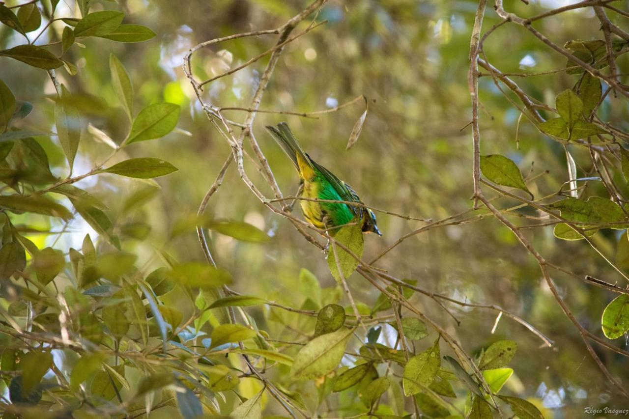 Pousada Ricanto Amore Mio Monte Verde  Exterior photo